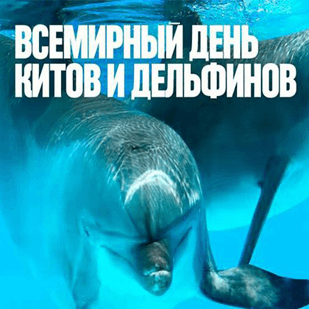 Всемирный день китов и дельфинов!